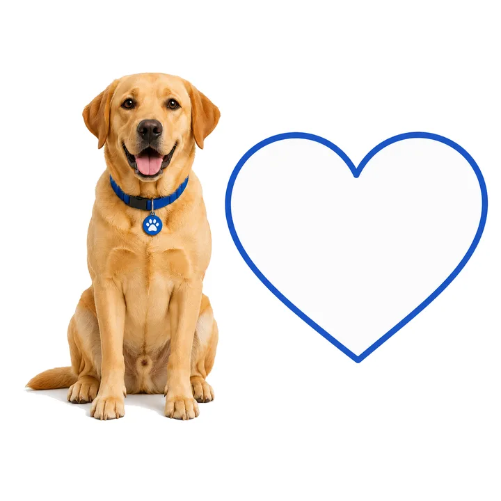 Doggo naast een hart